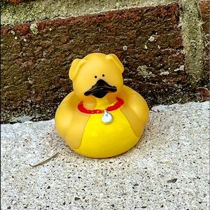 Rubber duck toy